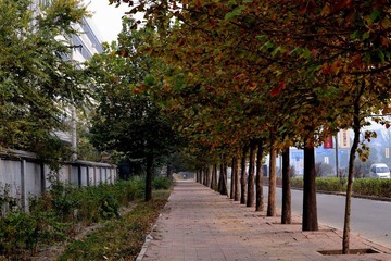 DSC_1021.JPG
