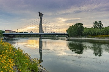 527036