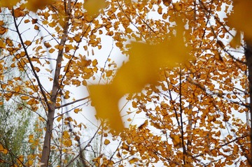 DSC_3731.jpg