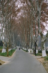 07040027.JPG