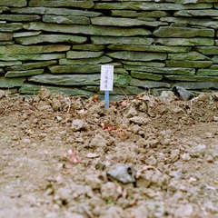 07040036.JPG
