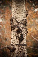 qtatgy-10.jpg