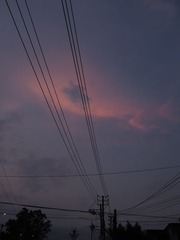 406703
