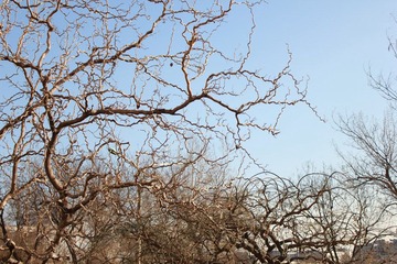 IMG_0287.JPG