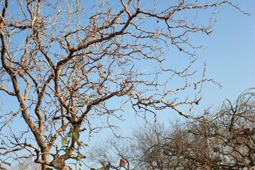 IMG_0288.JPG