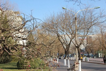 IMG_0291.JPG