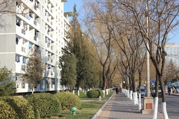 IMG_0293.JPG