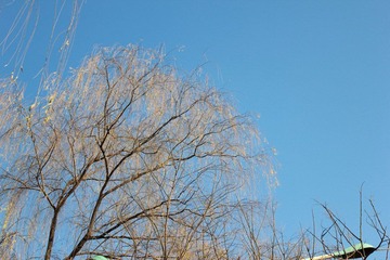 IMG_0294.JPG