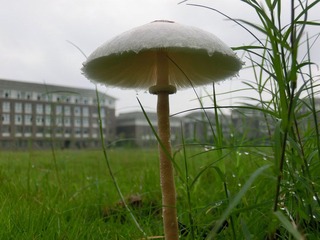 CIMG0878.JPG