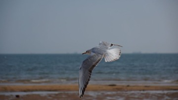 DSC05164_