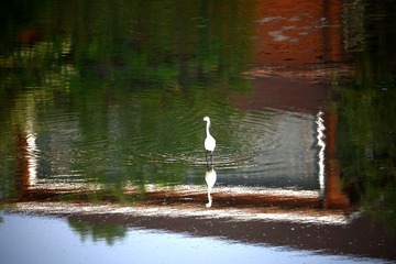 DSC_1704_
