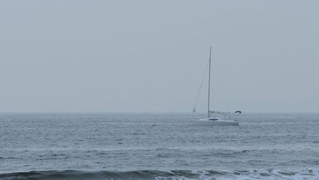DSC22_5223__