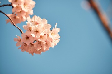 F86544A6-681B-4BE9-B4DB-C849605854F0/L0/001