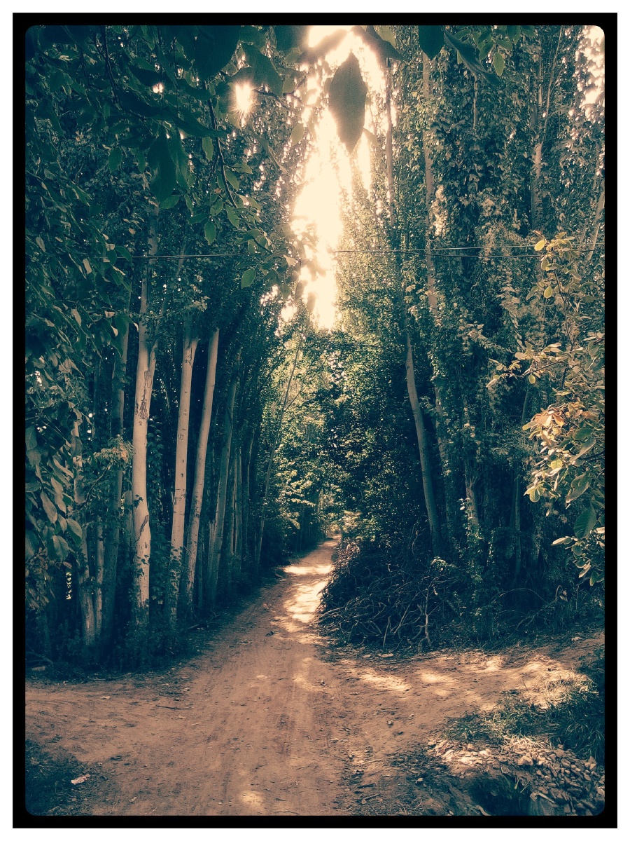 新疆喀什地区叶城县萨依巴格乡小路