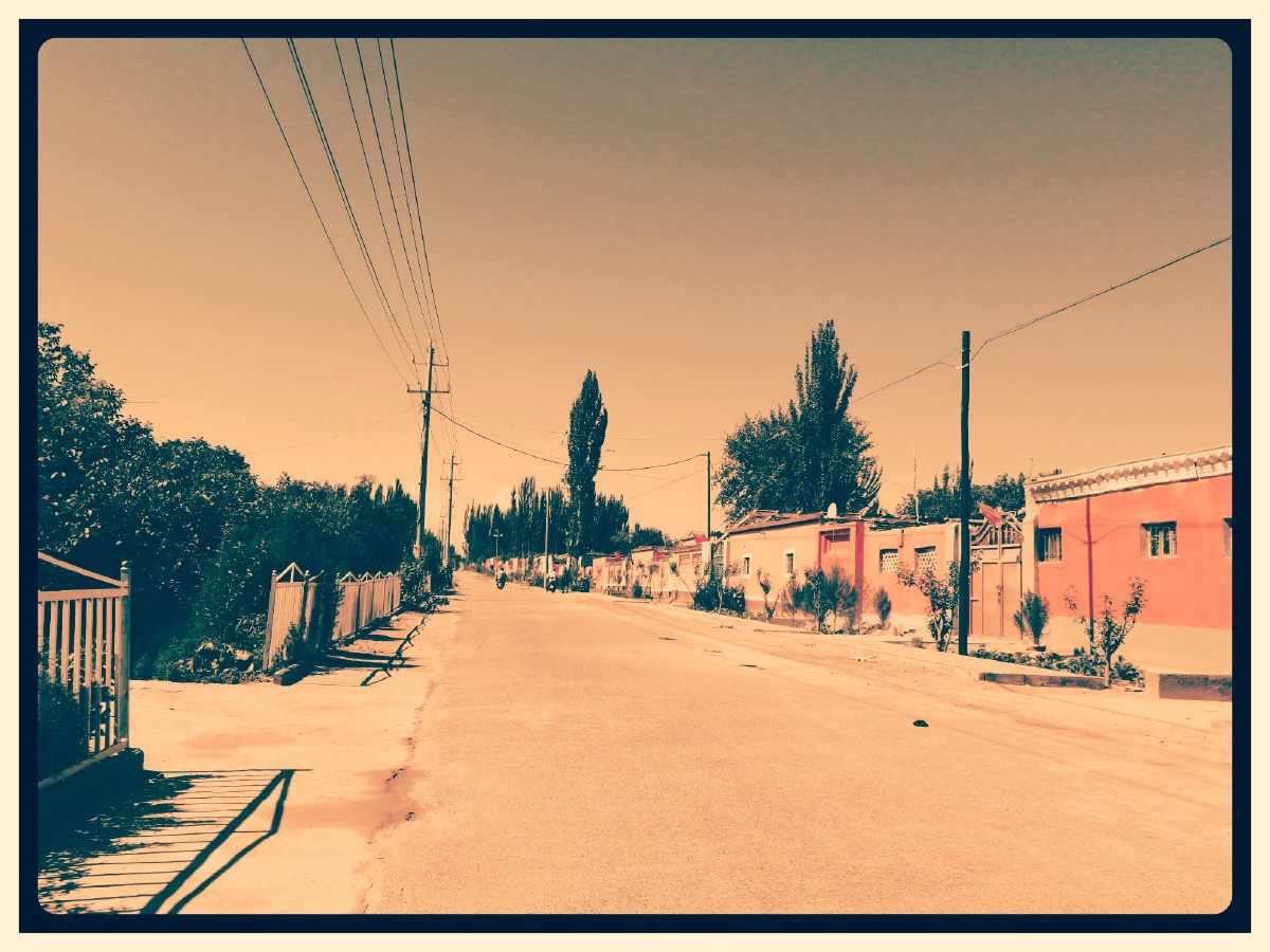 天山牧场牛羊盛塞外胡杨品貌皎新疆喀什地区叶城萨依巴格乡