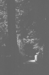 94380016.JPG