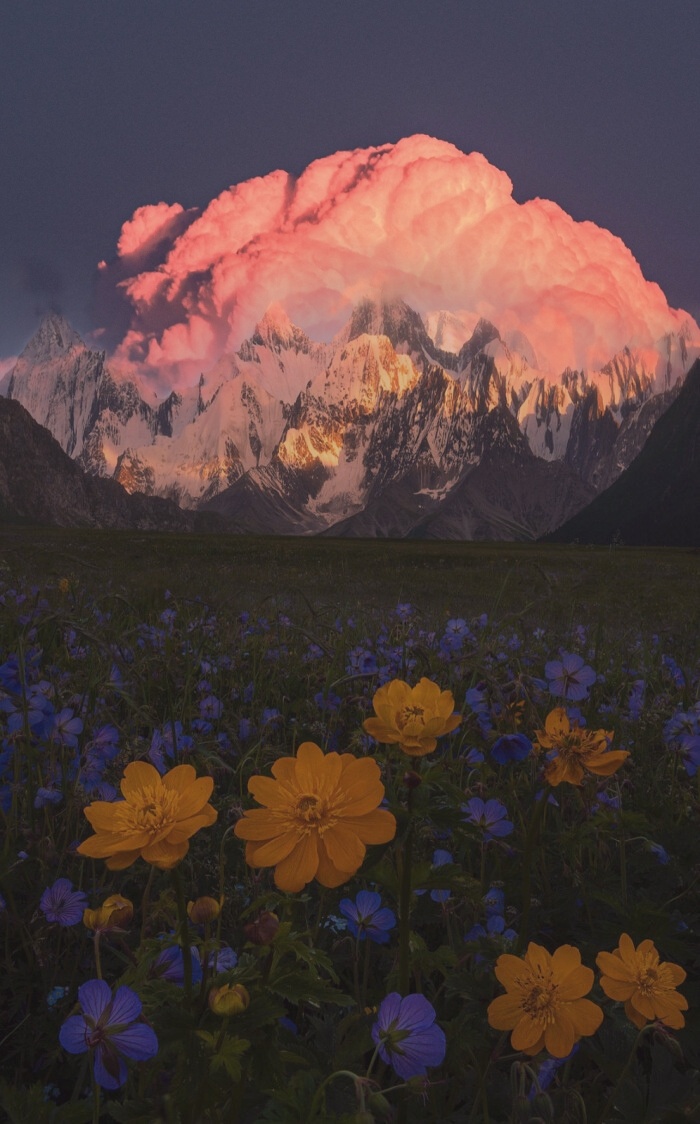 世界真的很美好,因为有你