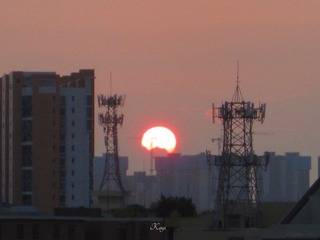 0DED84FD-3DA4-4542-99AF-D9AD92A370DD/L0/001