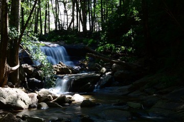 DSC_2770.JPG