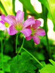 IMG_0067.jpg