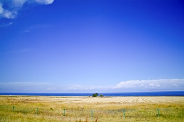 青海湖07.jpg