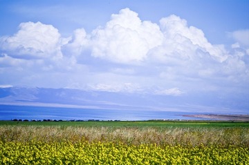 青海湖10.jpg