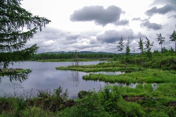 a05.jpg