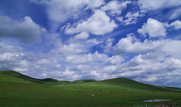 b01.jpg