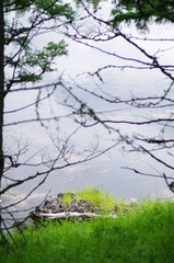 a07.jpg