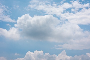 13817