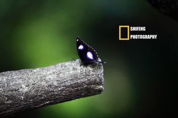 IMG_0961.jpg