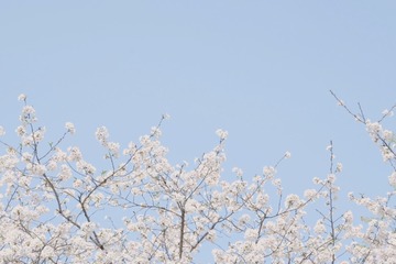 E4E7FB95-8C30-4B59-9C5C-DA532EE5BFED/L0/001