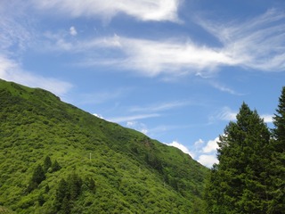 2550648
