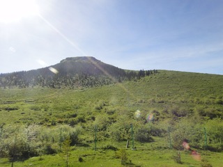 2550640