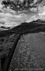 IMG_8634.jpg