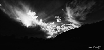 IMG_8784.jpg