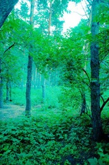 DSC01238.JPG