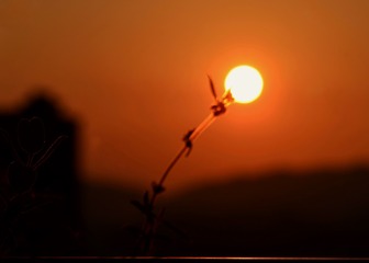 A461151A-B080-4F04-BCB0-9D8D2402FB72/L0/001