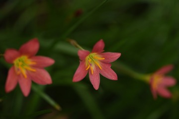 30A2583F-C7B0-40CF-A5ED-A7089CD799F9/L0/001