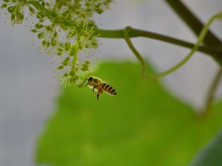 EE04EA00-CA96-4AB6-9B5F-E271C0E0D19E/L0/001