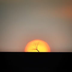 3EE2719B-C026-4B60-881B-C034F25775D2/L0/001