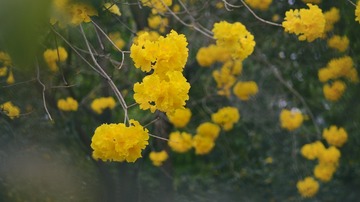 4AFBF795-1D5D-435D-BB37-F951D7B5F988/L0/001