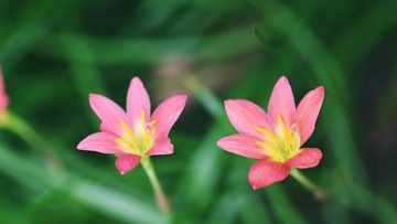 3CB6C8ED-AF75-49CC-A13B-B8C5F046A8B9/L0/001