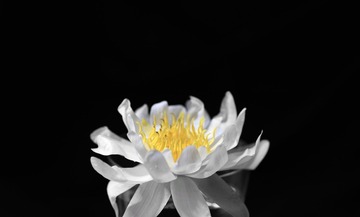 95F3C0AF-634F-4098-BD78-8B940657802C/L0/001