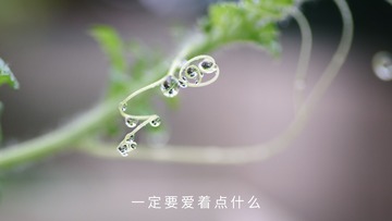 4D67A9F9-9DDE-473A-8D0D-F31775905821/L0/001
