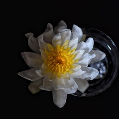 1120DF80-9E90-41B4-827F-A303F88ABD8D/L0/001