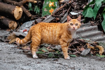 74392