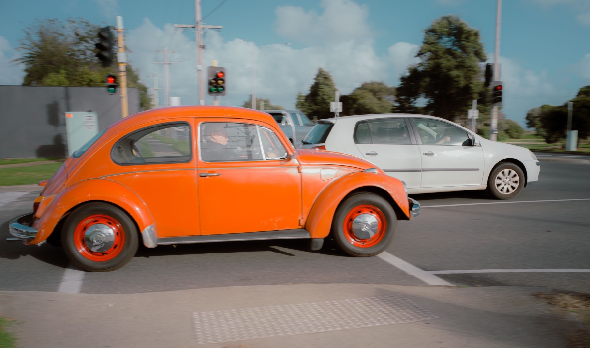 橙色甲壳虫 - hillphotoz - 图虫
