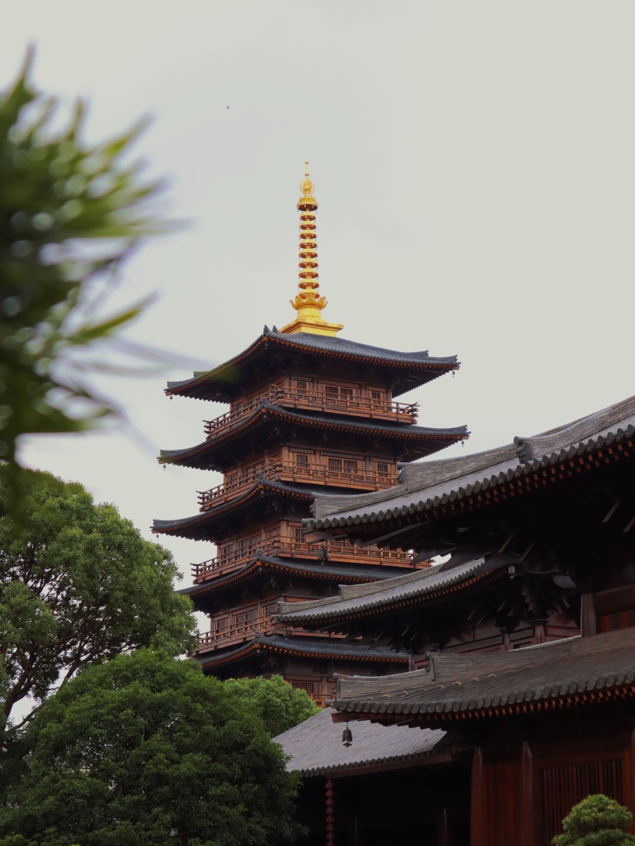 佛不要你皈依佛要你欢喜摄于上海宝山寺