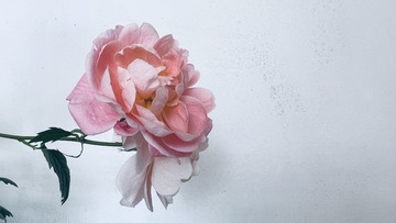 3D5D8547-AA23-45F2-A31A-9026B687DAA3/L0/001